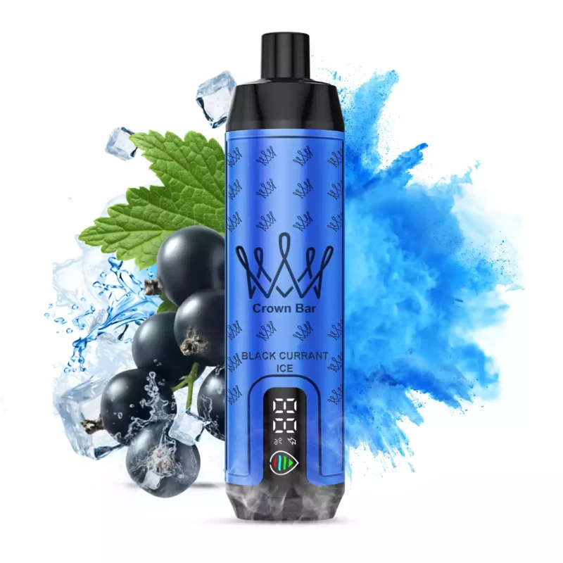 ALFAKHAR 15000 Trekjes F18S Zwarte Bes IJs Smaak Wegwerp E-sigaret met 0.5% Nicotine en 22 ml E-vloeistof Bestseller fabrikant retail