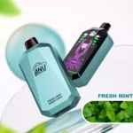 ANU Ser 30000 Trekjes Verse Munt Smaak Wegwerp E-sigaret met 22 ml E-vloeistof en 5% Nicotine–Bestverkoper bij fabrikant retail (1)