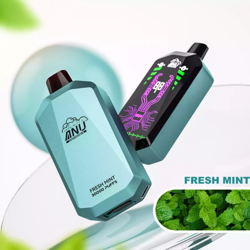 ANU Ser 30000 Trekjes Verse Munt Smaak Wegwerp E-sigaret met 22 ml E-vloeistof en 5% Nicotine–Bestverkoper bij fabrikant retail (1)