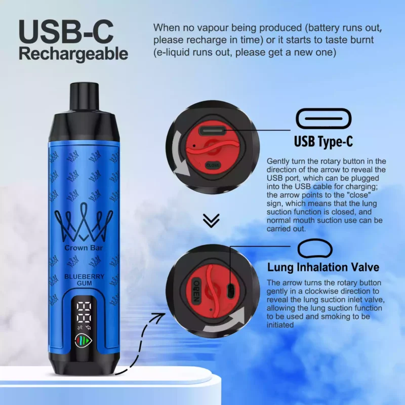 Beste prijs ALFAKHAR 15000 Trekjes F18S Bosbes Kauwgom Smaak Wegwerp E sigaret met 5 Nicotine en 22 ml E vloeistof 600 mAh Batterij fabrikant retail 1