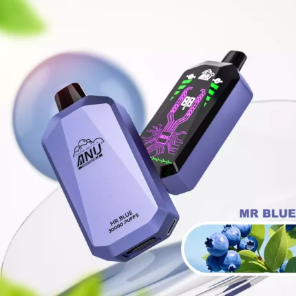 Bestseller ANU Ster 30000 Trekjes Meneer Blauw Mesh Coil 1.0 Ohm Wegwerp Vape 22ml E Vloeistof Nicotine 0% 2% 3% 5% 650mAh Type C Oplaadbaar Europese Snelle Levering Fabrieksverkoop (1)