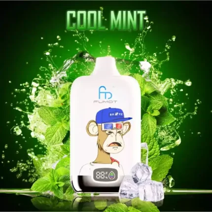 Hoge kwaliteit Randm Digital Box 12000 Trekjes Koele Munt Smaak Wegwerp E-sigaret met Nicotine Gehalten van 0% 2% 3% 5% en 20ml Capaciteit Type-C 550 mAh Oplaadbaaraar