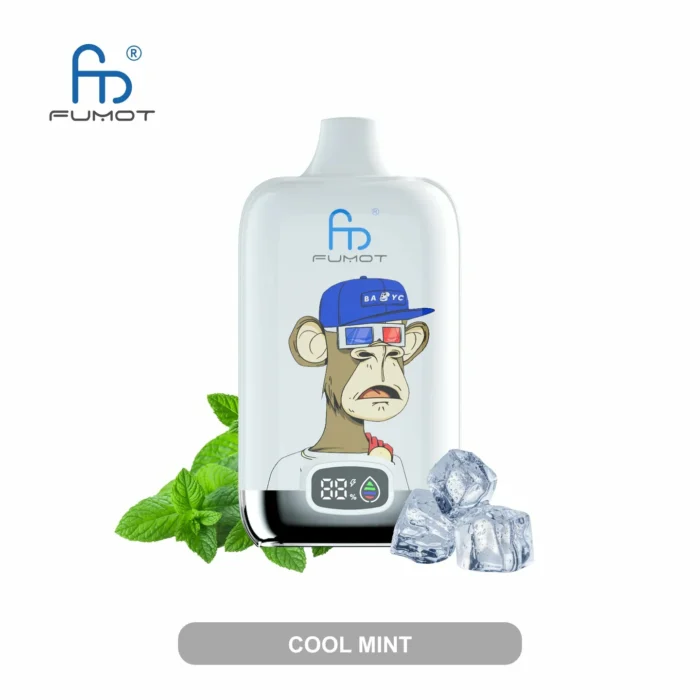 Hoge kwaliteit Randm Digital Box 12000 Trekjes Koele Munt Smaak Wegwerp E sigaret met Nicotine Gehalten van 0 2 3 5 en 20ml Capaciteit Type C 550 mAh Oplaadbaaraar 2