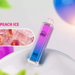 Hot Selling ANU Crystal 10000 Trekjes Perzik IJs Smaak Wegwerp E-sigaret 18ml E-vloeistof 650mAh Batterij Type-C Oplaadbaar