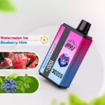 Hot selling ANU Dubbele Smaak 30000 Trekjes Wegwerp Vape met Watermeloen IJs en Bosbes Munt uit EU Magazijn 0% 2% 3% 5% nicotine (2)