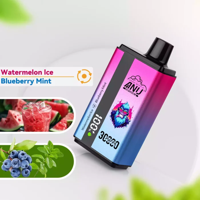 Hot selling ANU Dubbele Smaak 30000 Trekjes Wegwerp Vape met Watermeloen IJs en Bosbes Munt uit EU Magazijn 0% 2% 3% 5% nicotine (2)