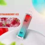 Populaire ANU Crystal 10000 Trekjes Aardbei IJs Smaak Wegwerp E-sigaret 650mAh Batterij Type-C Oplaadbaar
