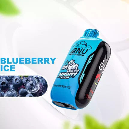 Populaire ANU Vista 30000 Trekjes Bosbes IJs Smaak Mesh Coil 1.0 Ohm Wegwerp Vape 22ml E-Liquidv650mAh Type-C Oplaadbaar Snelle Europese Levering Rechtstreeks van de Fabriek (2)