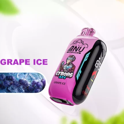 Populaire ANU Vista 30000 Trekjes Druiven IJs Smaak Wegwerp Vape 22ml E-Vloeistof Nicotine 0%-5% 650mAh Type-C Oplaadbaar Snelle Europese Levering Rechtstreeks van de Fabriek (1)
