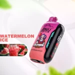 Populaire ANU Vista 30000 Trekjes Watermeloen IJs Smaak Wegwerp E-sigaret 22ml Nicotineopties 0%-5% Type-C Oplaadbaar Fabrieksverkoop