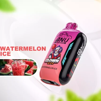 Populaire ANU Vista 30000 Trekjes Watermeloen IJs Smaak Wegwerp E-sigaret 22ml Nicotineopties 0%-5% Type-C Oplaadbaar Fabrieksverkoop