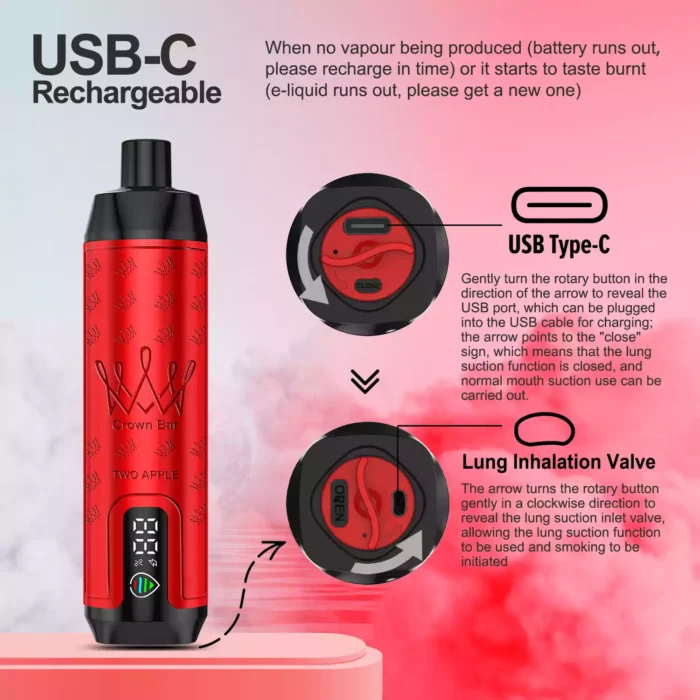 Topkwaliteit ALFAKHAR 15000 Trekjes F18S Dubbele Appel Smaak Wegwerp E sigaret met 0.5 Nicotine en 22 ml E vloeistof 600 mAh Batterij hot sale fabrikant retail 2