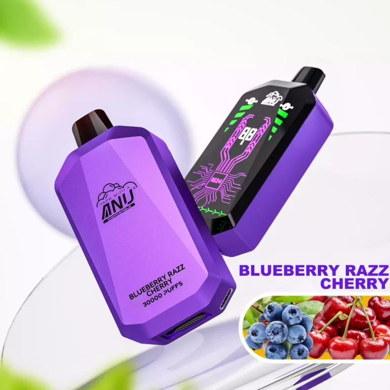 Home 38 Topverkoop ANU Ster 30000 Trekjes Bosbes Razz Kers Smaak 22ml 650mAh Type C Oplaadbaar Te Koop bij de Fabriek (2)