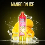 Zeer populaire RandM Tornado 15000 Trekjes Mango op IJs Smaak Wegwerp E-sigaret met 0% 2% 3% 5% Nicotine Gehalten RGB-ontwerp 25 ml E-vloeistof 850 mAh Oplaadbaar Fabrikant Retai (3)